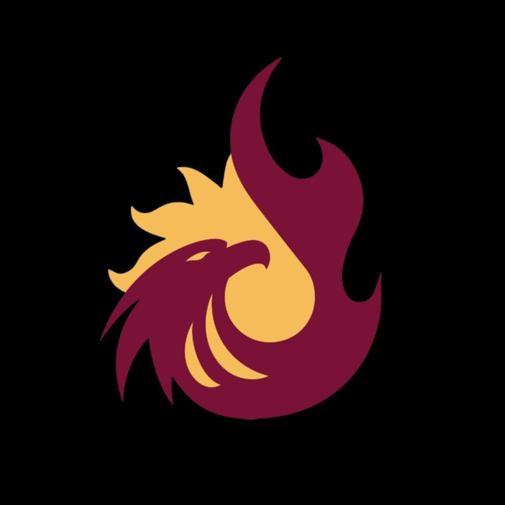 American Indigenous Science and Engineering Society logo